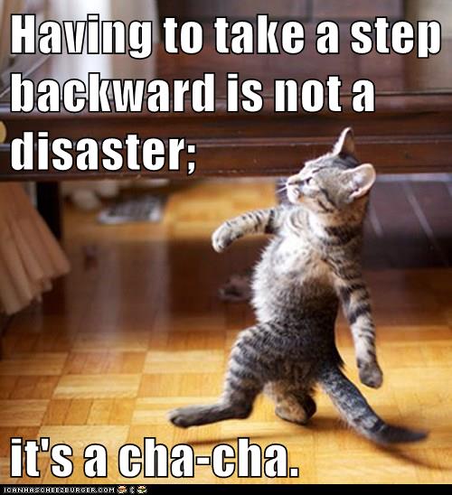 Image of small brown and black kitten walking on two legs like a human. Text: Having to take a step backward is not a disaster; it's a cha-cha.